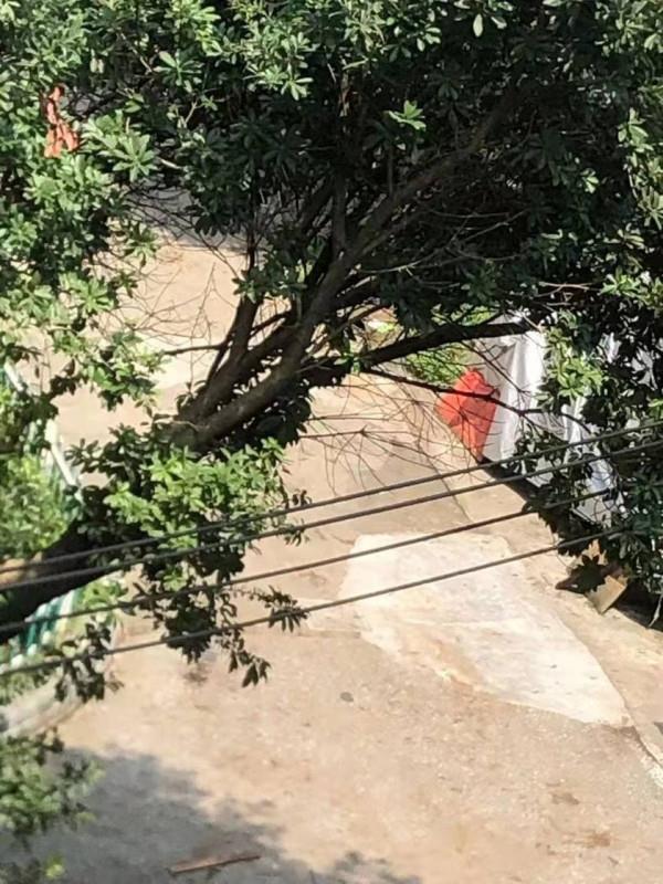徐汇体验温柔妹妹 第2张