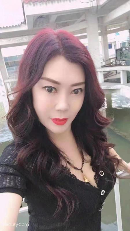 王四营千姿 第1张